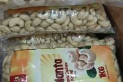 WhatsApp-Image-2026-05-11-at-10.35.11-AM