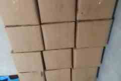 WhatsApp-Image-2026-05-11-at-10.35.17-AM